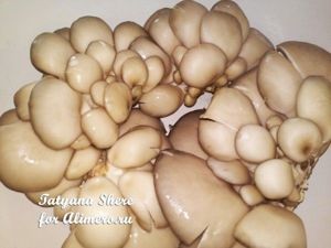 Макароны с грибами в сметане