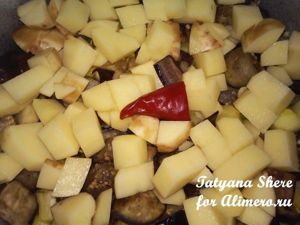 Овощное рагу