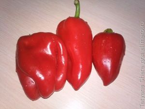 Баклажаны острые