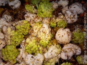 Макароны с грибами и овощами