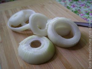 шашлык из курицы, лук шашлык из курицы, лук