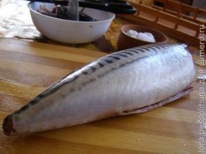 малосольная скумбрия, тушка малосольная скумбрия, тушка