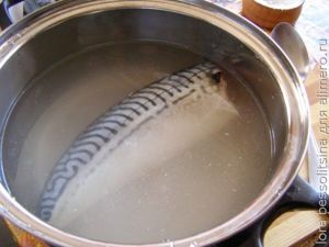 малосольная скумбрия, в рассоле малосольная скумбрия, в рассоле