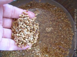 сырники с гречкой, гречка сырники с гречкой, гречка