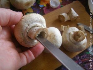 шашлык из шампиньонов, грибы шашлык из шампиньонов, грибы