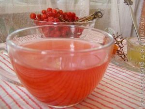 полезные чаи, чай с калиной полезные чаи, чай с калиной