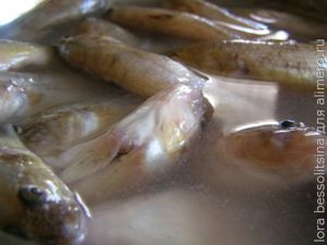 бычки сушеные, бычки в рассоле бычки сушеные, бычки в рассоле