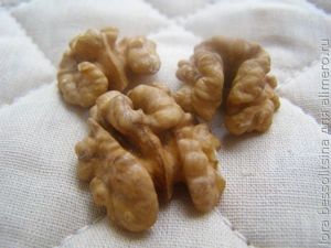 грецкий орех