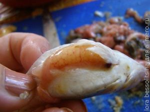 салат с икрой бычка, икра салат с икрой бычка, икра