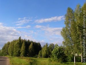 деревня Шубки деревня Шубки