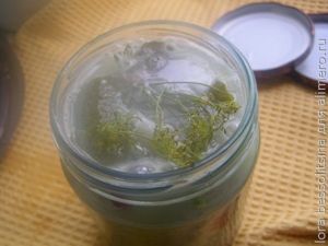 огурцы соленые, в банке огурцы соленые, в банке