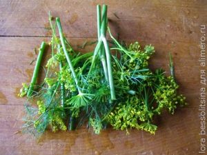 огурцы соленые, укроп огурцы соленые, укроп
