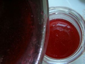 желе из красной смородины, разливаем желе из красной смородины, разливаем