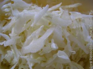 юшка овощная, капуста белокочанная юшка овощная, капуста белокочанная