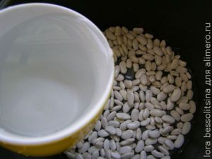 борщ в мультиварке, фасоль в воде борщ в мультиварке, фасоль в воде