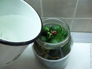Малосольные огурцы