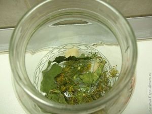 Малосольные огурцы