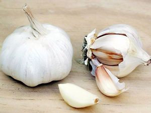 Молодые побеги чеснока хороши с мясными блюдами. В уходе они совершенно неприхотливы, главное – своевременная обрезка и полив. Молодые побеги чеснока хороши с мясными блюдами. В уходе они совершенно неприхотливы, главное – своевременная обрезка и полив.