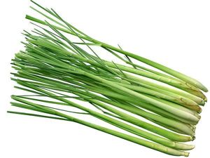Цимбопогон. Еще одно название – лимонное сорго. Его вкус одновременно напоминает лимон и миндаль, а использовать стебельки можно и свежими и засушенными, измельченными и целыми. Растение это многолетнее. Цимбопогон. Еще одно название – лимонное сорго. Его вкус одновременно напоминает лимон и миндаль, а использовать стебельки можно и свежими и засушенными, измельченными и целыми. Растение это многолетнее.