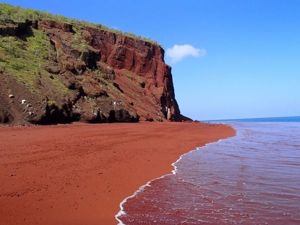 Пляж с красным песком Рабида, Галапагос. Есть мнение, что красный песок сформировался в результате окисления лавы, богатой железом. А может быть, это результат вымывания коралловых останков. Пляж с красным песком Рабида, Галапагос. Есть мнение, что красный песок сформировался в результате окисления лавы, богатой железом. А может быть, это результат вымывания коралловых останков.