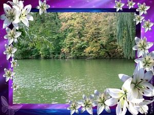 природа природа