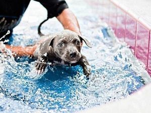 Хороша водица - только бы не утопиться. Хороша водица - только бы не утопиться.