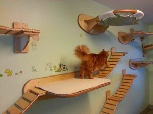 Домики для котов