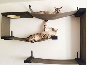 Домики для котов