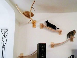 Домики для котов