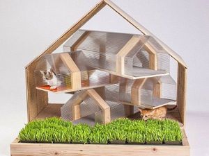 Домики для котов
