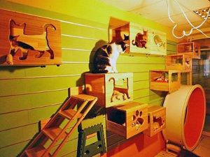 Домики для котов