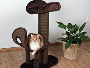 Домики для котов