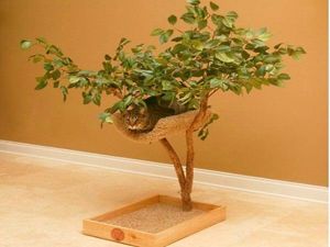 Домики для котов