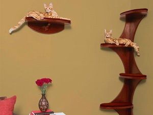 Домики для котов
