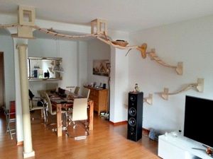 Домики для котов