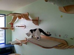 Домики для котов