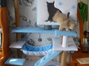 Домики для котов