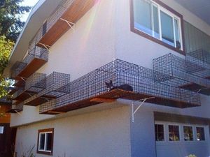 Домики для котов
