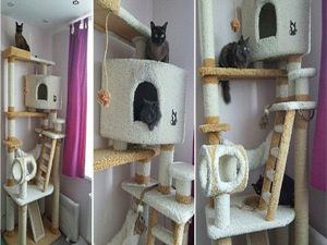 Домики для котов
