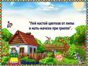 Бабушкины советы