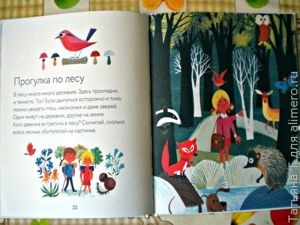 Мир вокруг, книга