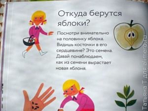 Времена года, отзыв