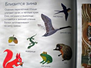 Времена года, отзыв