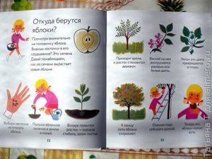 Времена года, отзыв