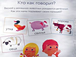 Времена года, отзыв