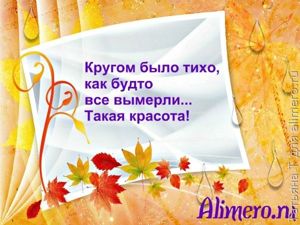 Смешные фразы из школьных сочинений
