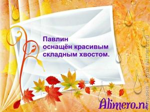Смешные фразы из школьных сочинений