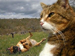 Ой, умора! Ох, насмешил... расслабься, ты же не для паспорта фотографируешься! Ой, умора! Ох, насмешил... расслабься, ты же не для паспорта фотографируешься!