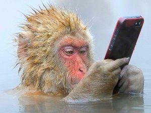 ...и отправляю фотки в Инстаграмм.... ...и отправляю фотки в Инстаграмм....