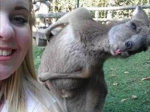А вот и я! Вы почему без меня фотографируетесь? А вот и я! Вы почему без меня фотографируетесь?